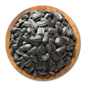 Sun Flower Seed