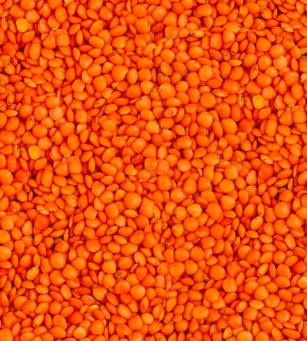 Masoor-Dal
